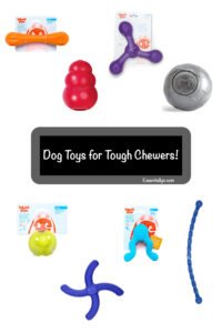 Pet Dog Dogs for Tough Chewers Durable Dog Toys That Will Last for Dogs that like to Destroy