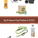 Amazon Dog Product Pet Essentials Must Have Leash Travel Shampoo Dog Bed